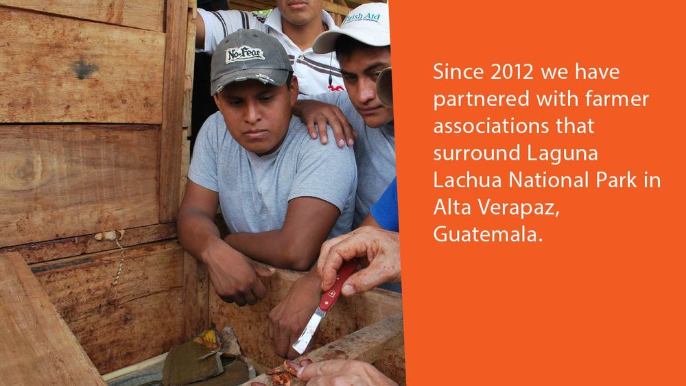 Parternships in Guatemala