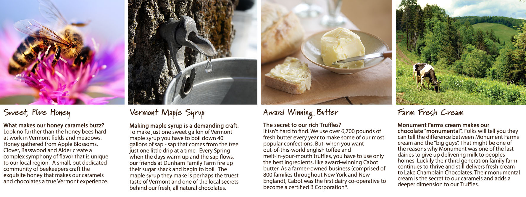 Vermont honey bee, maple syrup tap, Vermont butter, and cow grazing